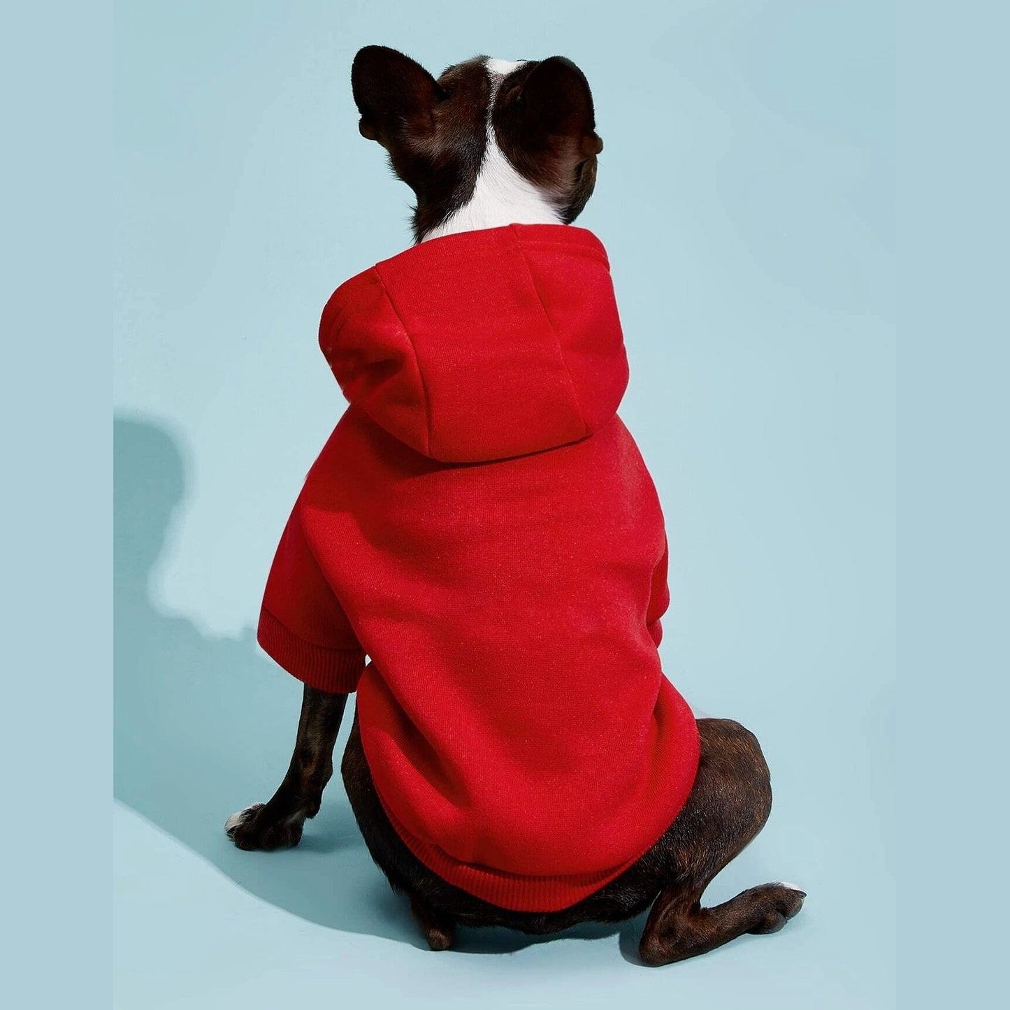 Dog Hoodie Sewing Pattern - XXS to XXXL Pet Hoodie Design