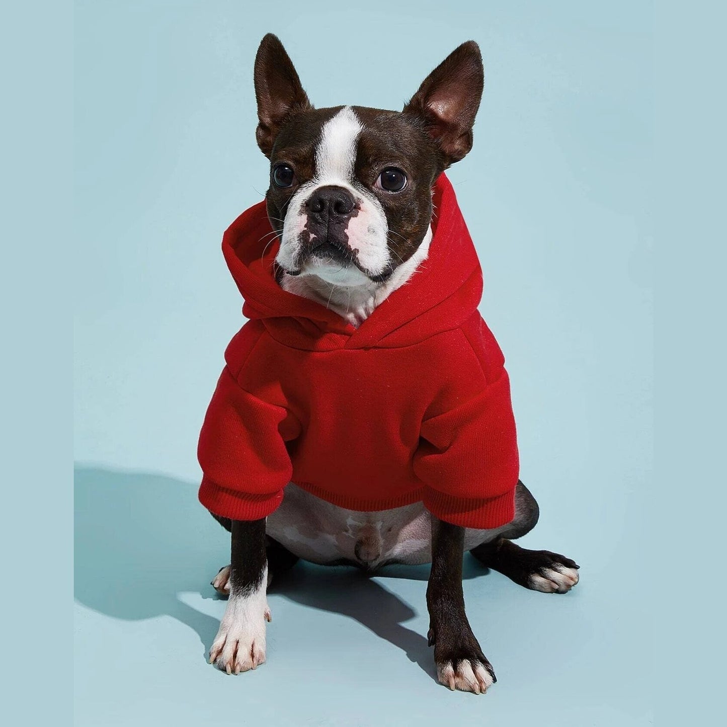 Dog Hoodie Sewing Pattern - XXS to XXXL Pet Hoodie Design