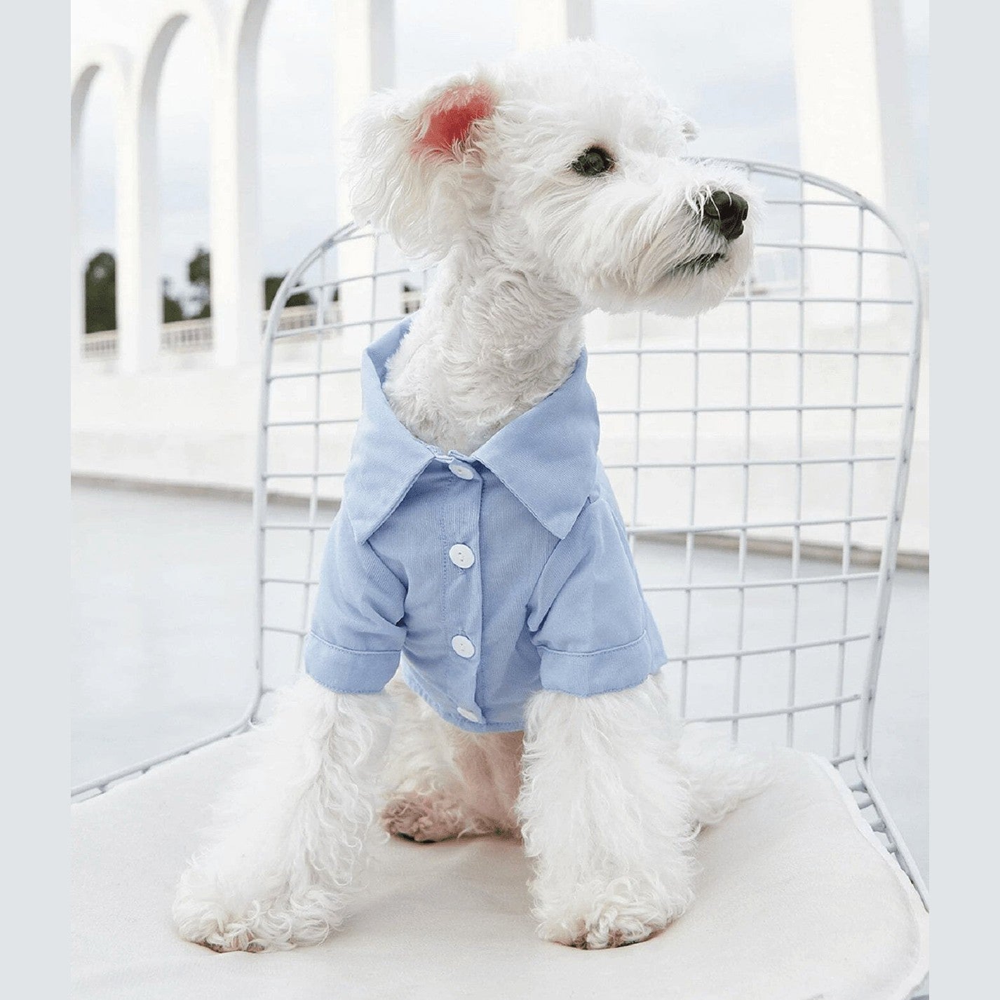 Dog Shirt Sewing Pattern - Simple & Stylish Dog Shirt Design