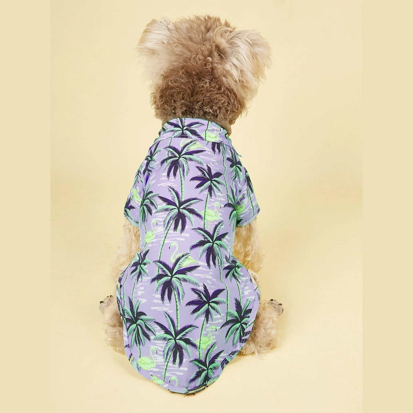 Dog Shirt Sewing Pattern - Trendy and Comfortable Design